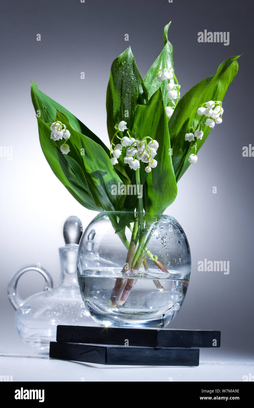 Lily of the valley in the glass vase Stock Photo - Alamy