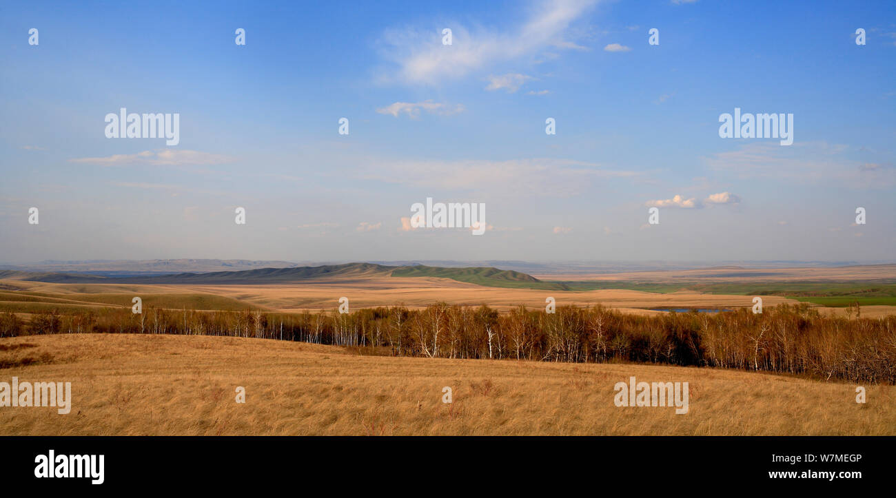 Steppe ravines hi-res stock photography and images - Alamy