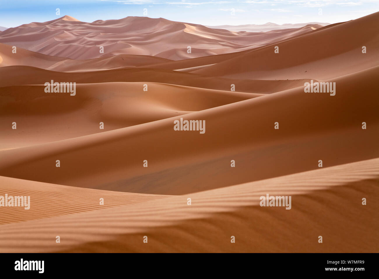 Sand dunes in the Libyan desert at dawn, Sahara, Libya, North Africa, November 2007 Stock Photo