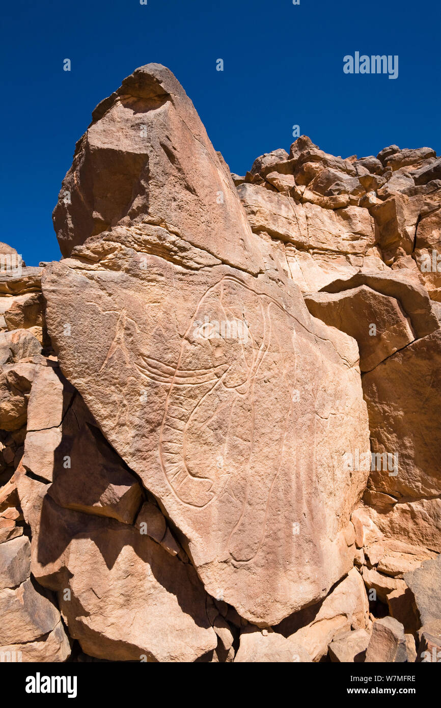 Stone engravings of an Elephant in Wadi Mathendous, Wadi Barjuj, Stony Desert, Libya, Sahara, North Africa, November 2007 Stock Photo