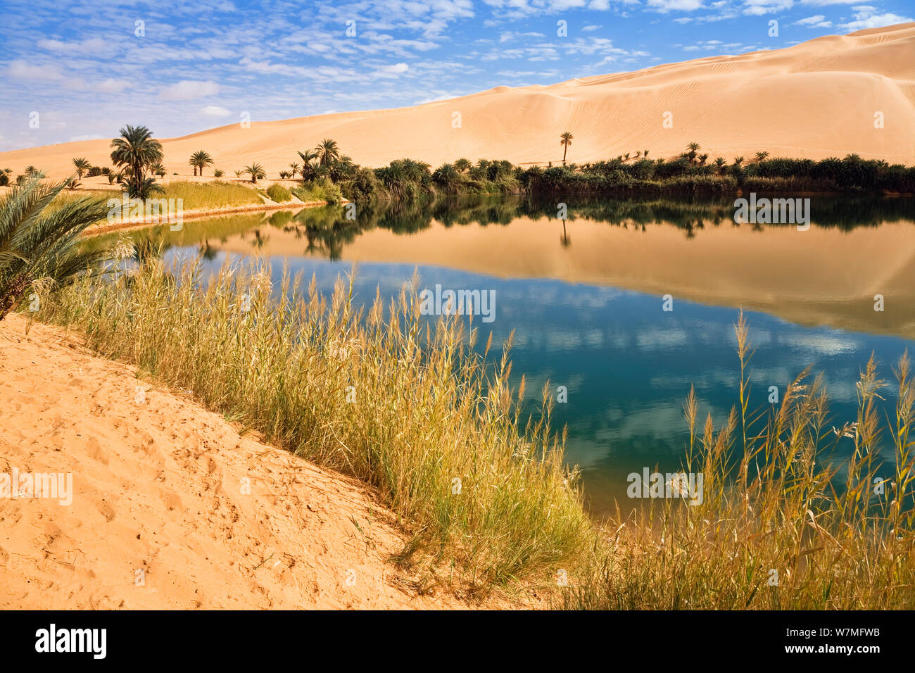 Mandara Lakes in the dunes of Ubari, oasis Um el Ma, Libyan desert, Libya, Sahara, North Africa, December 2007 Stock Photo