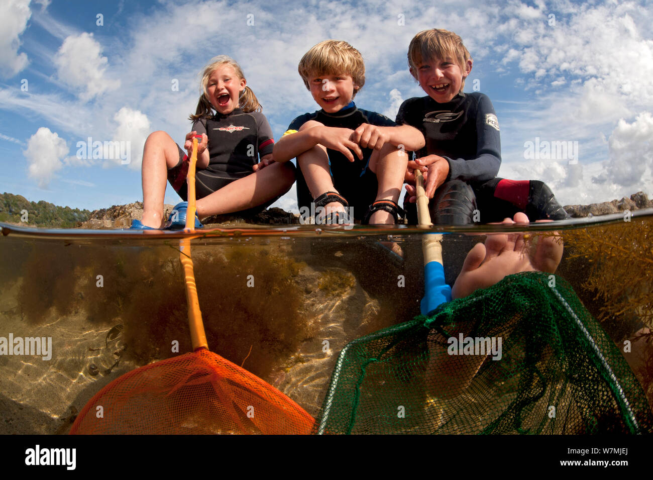 Children enjoying dipping in rockpools at low tide in Falmouth, Cornwall, England, UK, July, all model released. Stock Photo