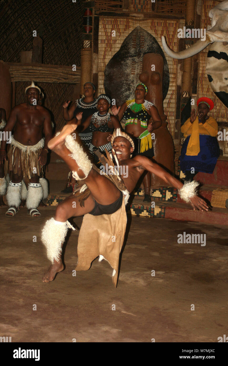 Traditional Zulu Dancing At Shakaland Zulu Cultural Village Eshowe Kwazulu Natal South Africa