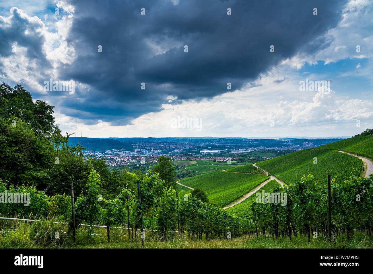 Germany, Dangerous thundery clouds over city of stuttgart behind green vineyard nature landscape from kappelberg mountain in summer Stock Photo