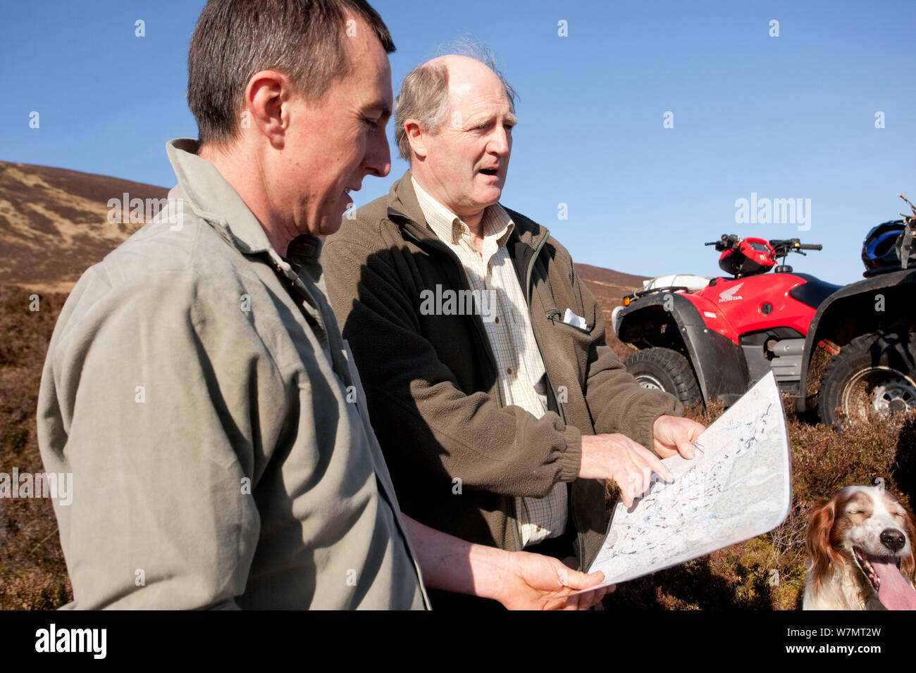 Des Dugan of RSPB discusses native tree planting at Abernethy Forest, Cairngorms National Park, Scotland, March 2012. Stock Photo