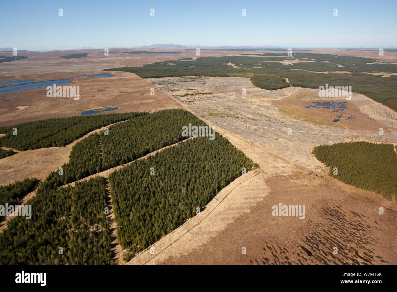 Forestry blocks hires stock photography and images Alamy