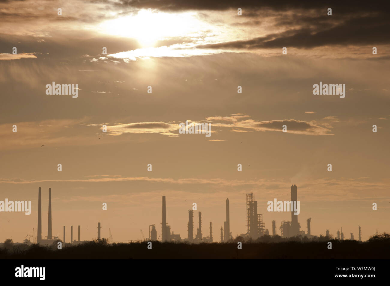 West Canvey Marsh, with industrial buildings on in the distance on horizon, Essex, England, UK, November Stock Photo