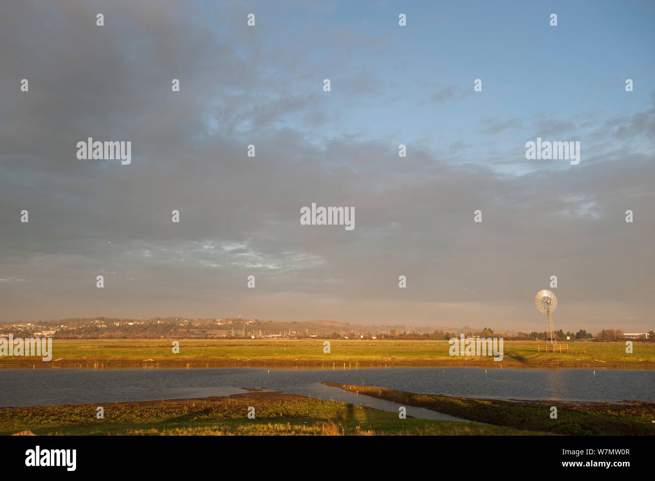 Landscape view over West Canvey Marshes RSPB reserve, Canvey Island, Essex, England, UK, November. Stock Photo