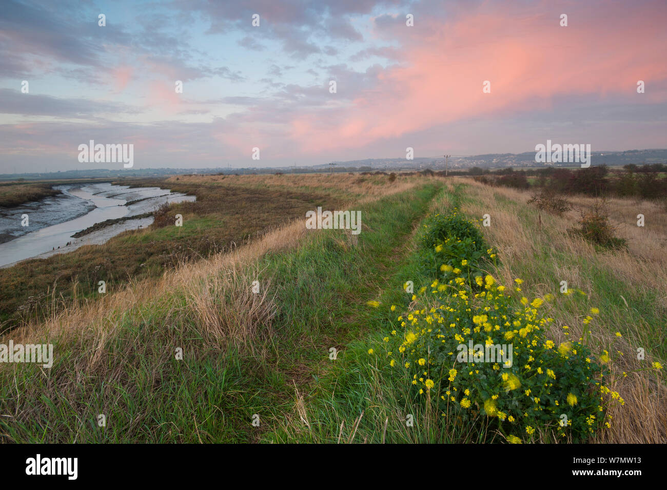 Landscape view from West Canvey Marshes RSPB reserve, Canvey Island, Essex, England, UK, November. Stock Photo