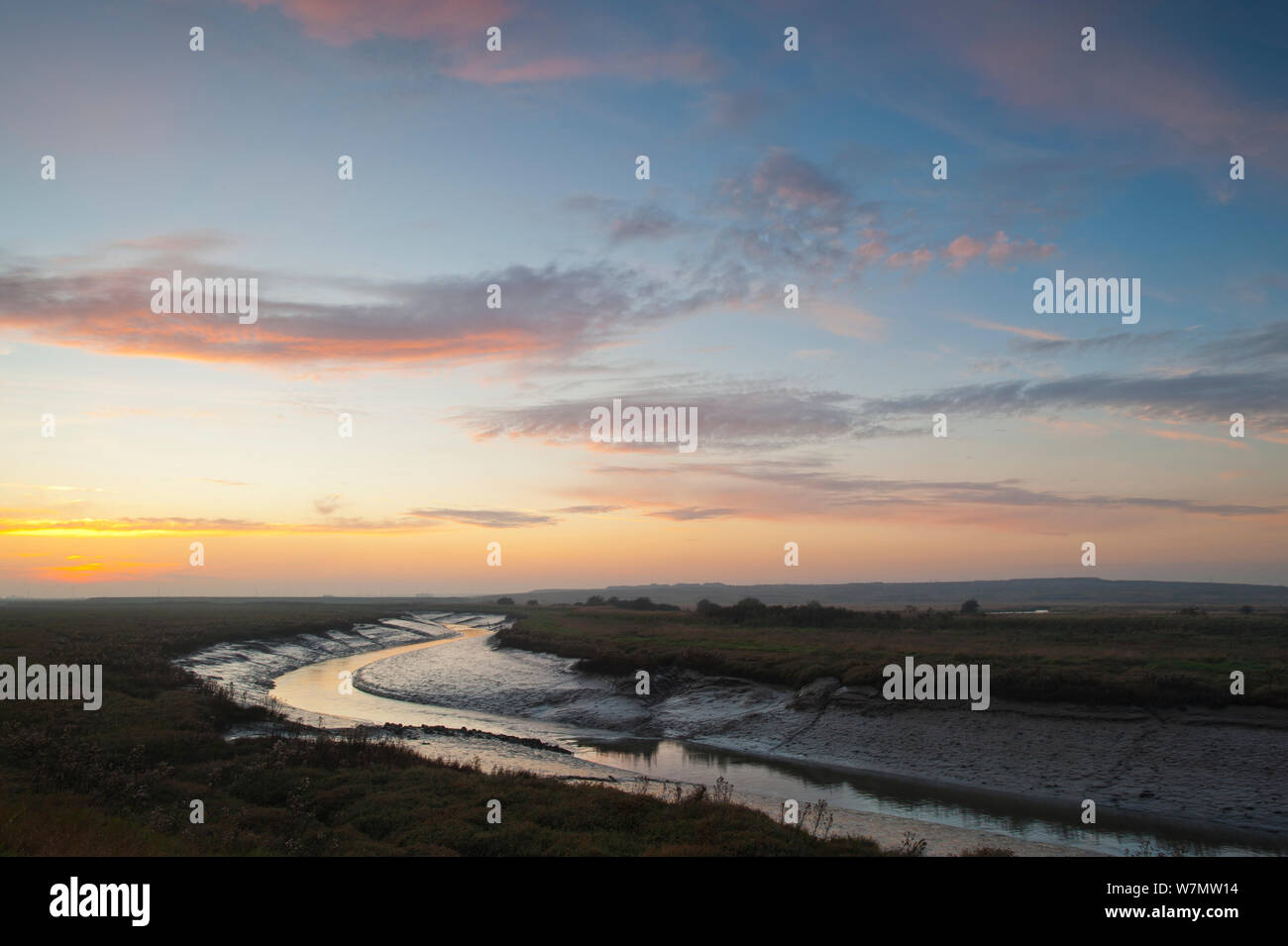 Landscape view of saltmarshes from West Canvey Marshes RSPB reserve, Canvey Island, Essex, England, UK, November. Stock Photo