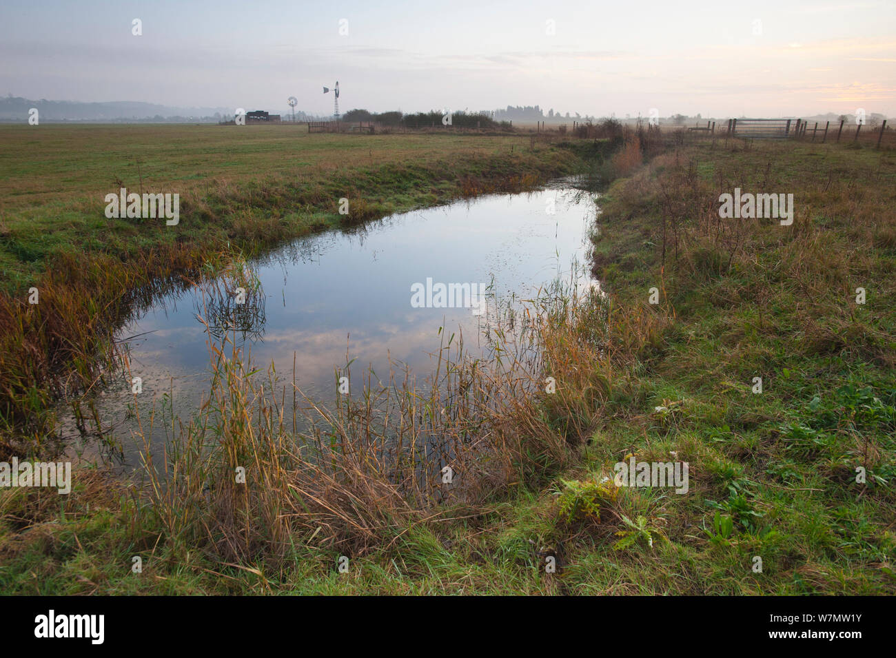 Drainage ditch, Vange Marsh RSPB reserve, Essex, England, UK, November. Stock Photo
