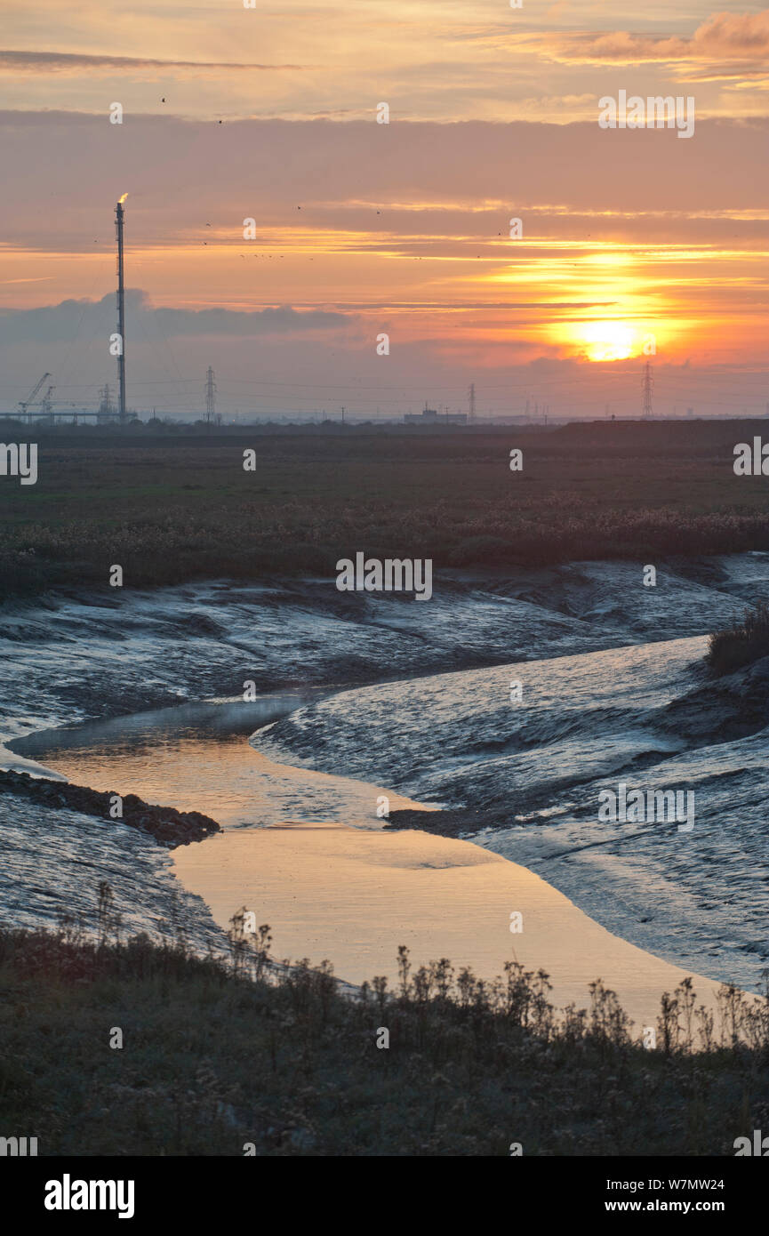 Landscape view of saltmarshes at West Canvey Marshes RSPB reserve, with industrial buildings in the distance, Essex, England, UK, November Stock Photo