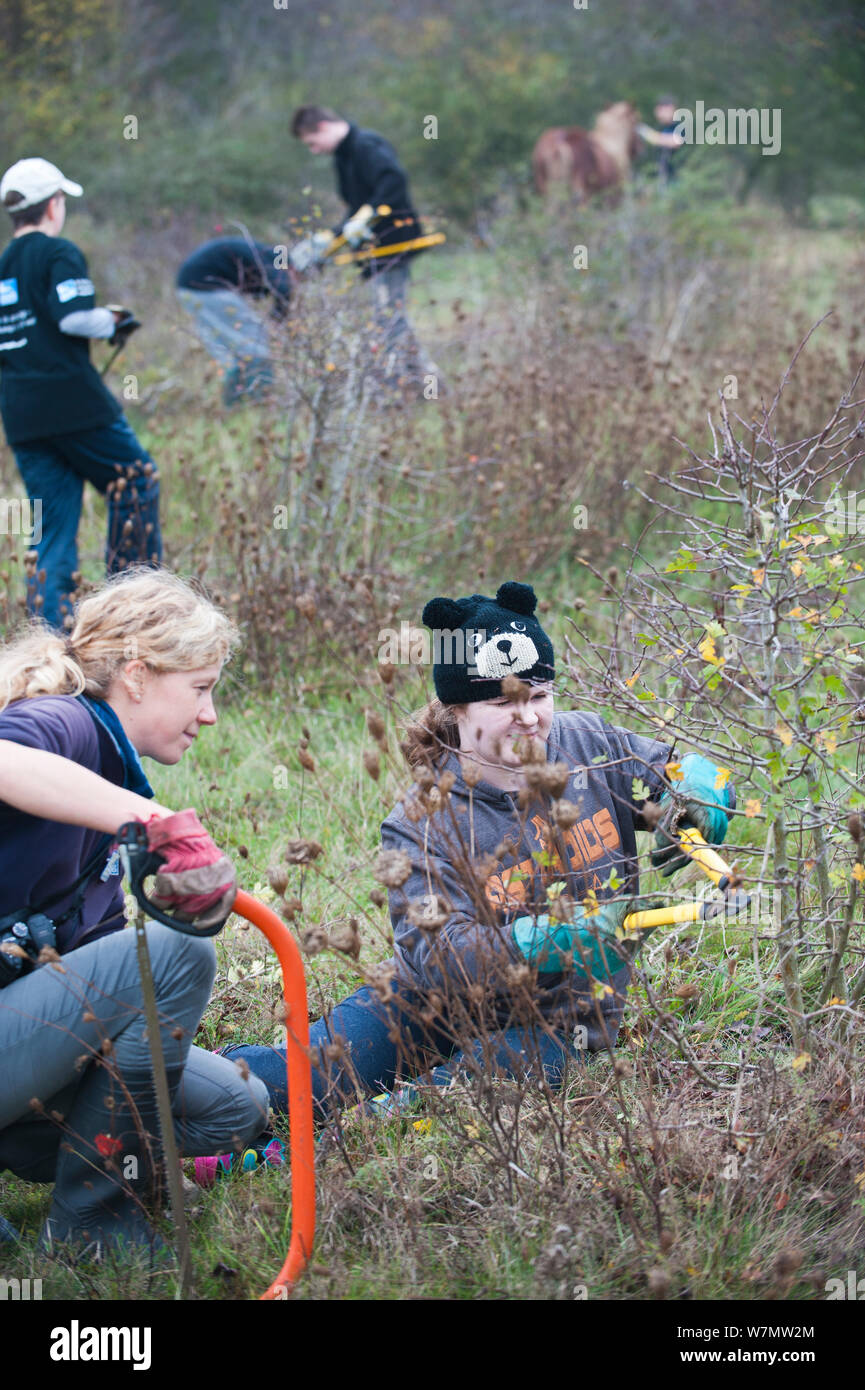 Volunteer Rspb Young volunteers working europe hi-res stock photography and images - Alamy