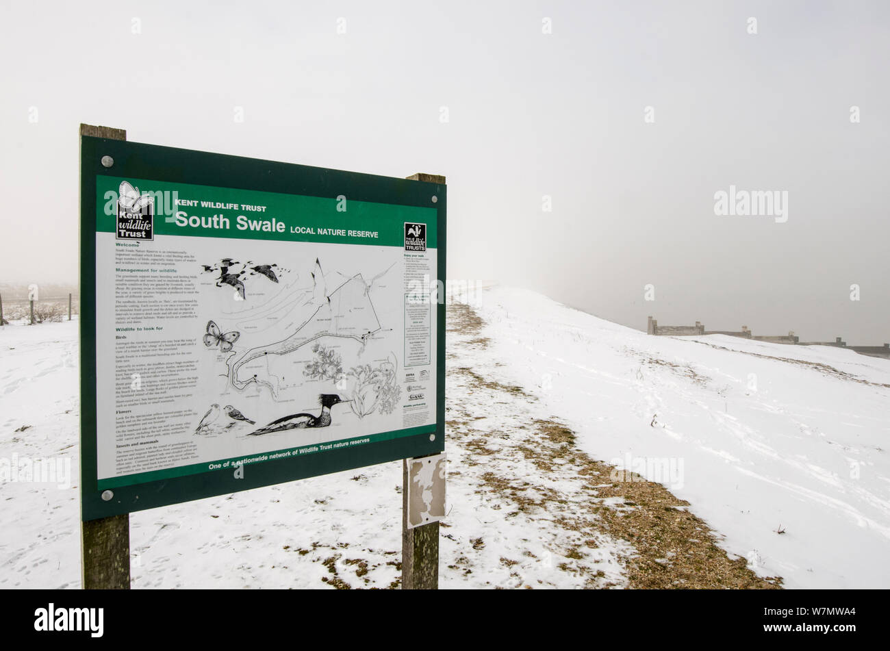 Sign for South Swale local nature reserve in snow, Kent, England, UK, June Stock Photo