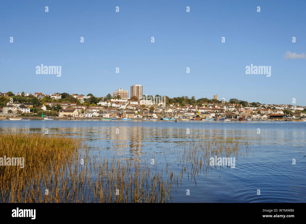 View from Two Tree Island looking towards Leigh-on-Sea, with saltmarsh vegetation in the foreground, Essex, England, UK, December Stock Photo
