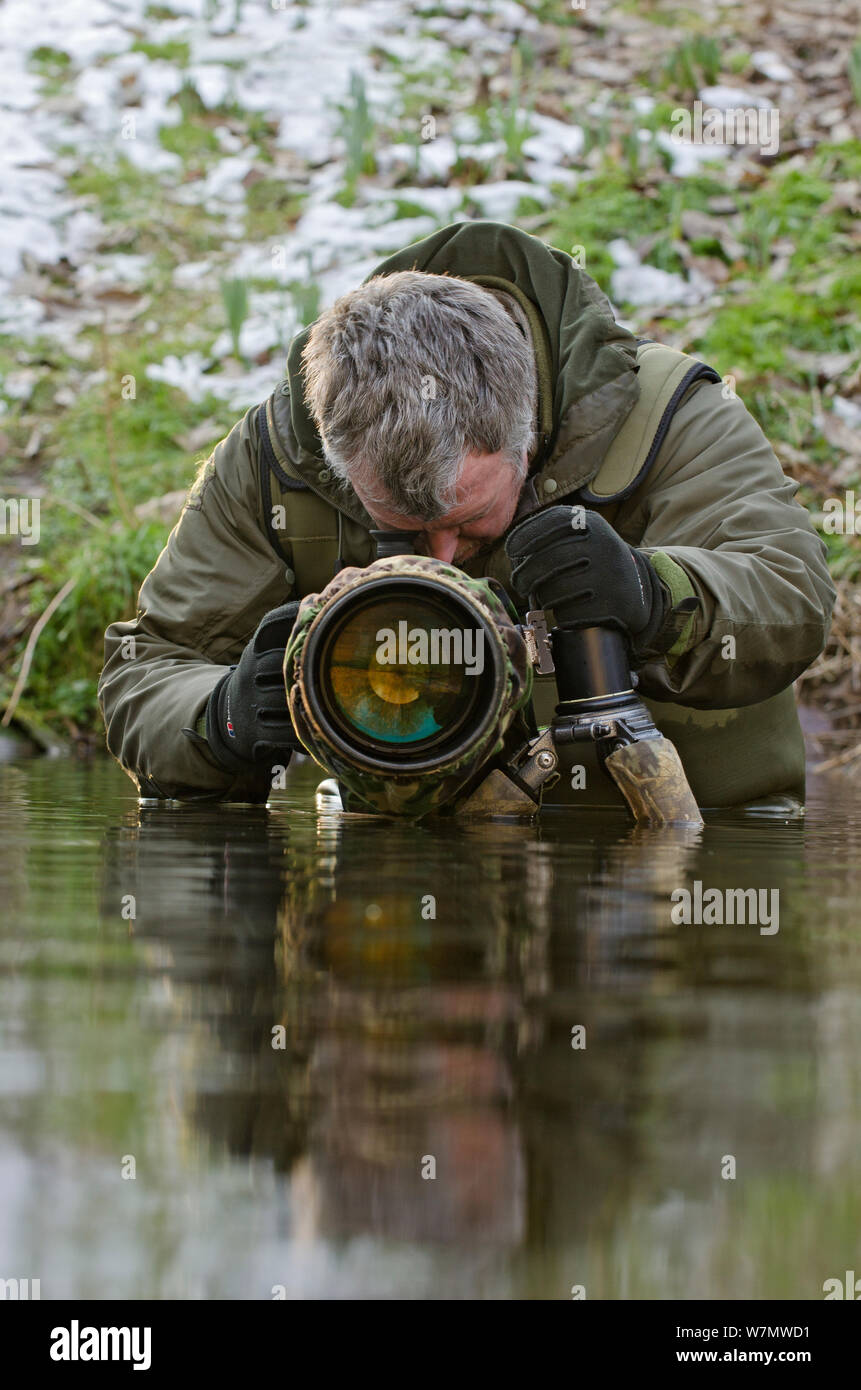 2020VISION Photographer Terry Whittaker photographing water voles (Arvicola terrestris), Kent, England, UK, February 2012. Model released. Stock Photo