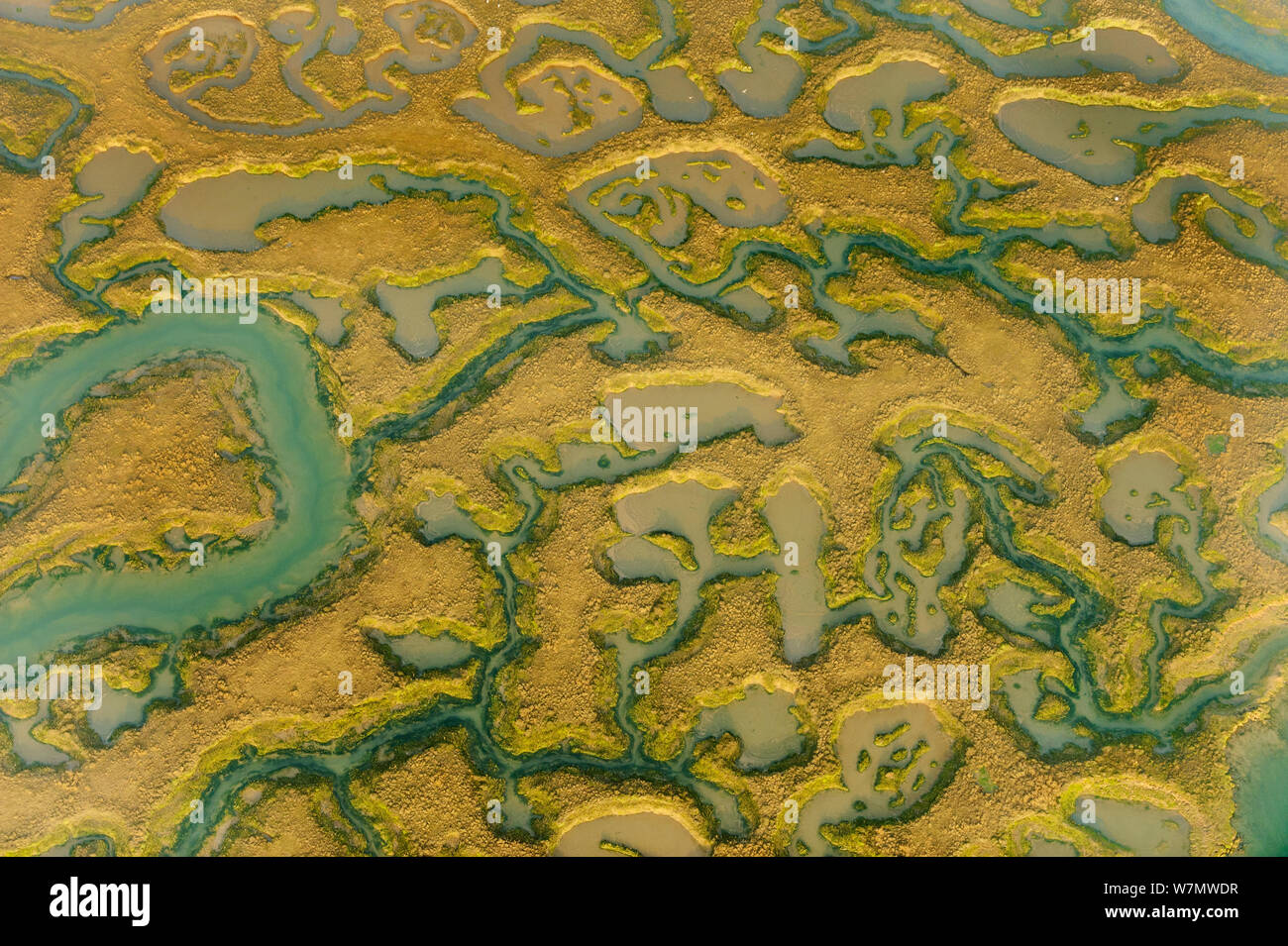 Water channels making patterns in saltmarsh, seen from the air. Abbotts