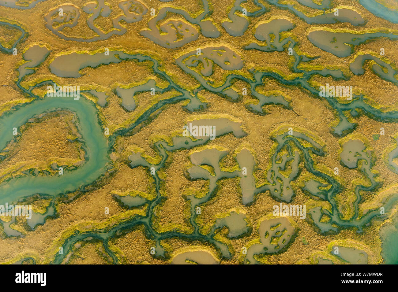 Water channels making patterns in saltmarsh, seen from the air. Abbotts Hall Farm, Essex, UK, April 2012. Stock Photo