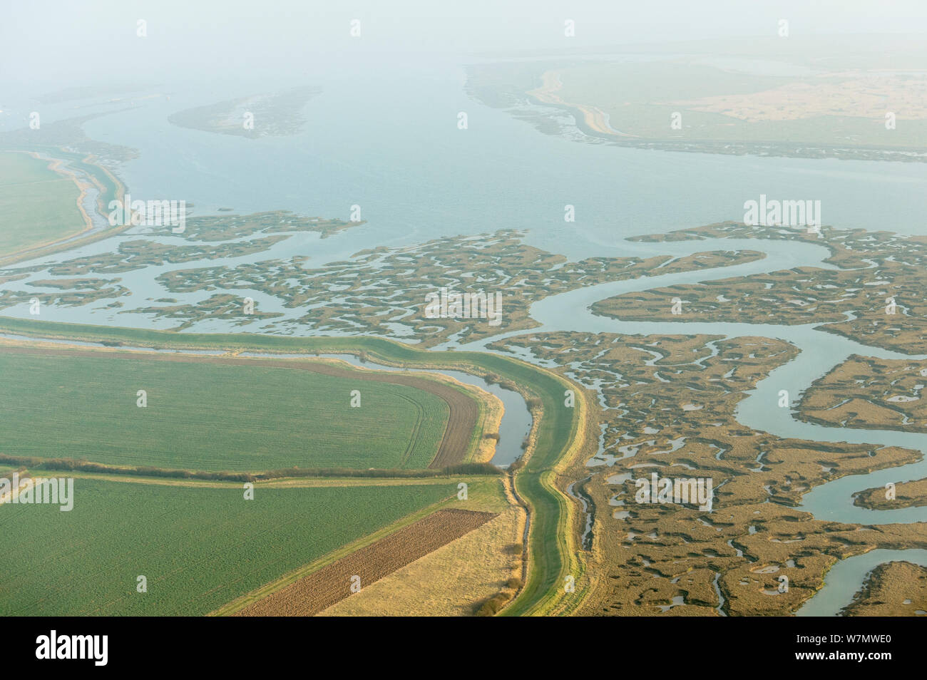 Water channels making patterns in saltmarsh, seen from the air. Abbotts Hall Farm, Essex, UK, April 2012. Stock Photo