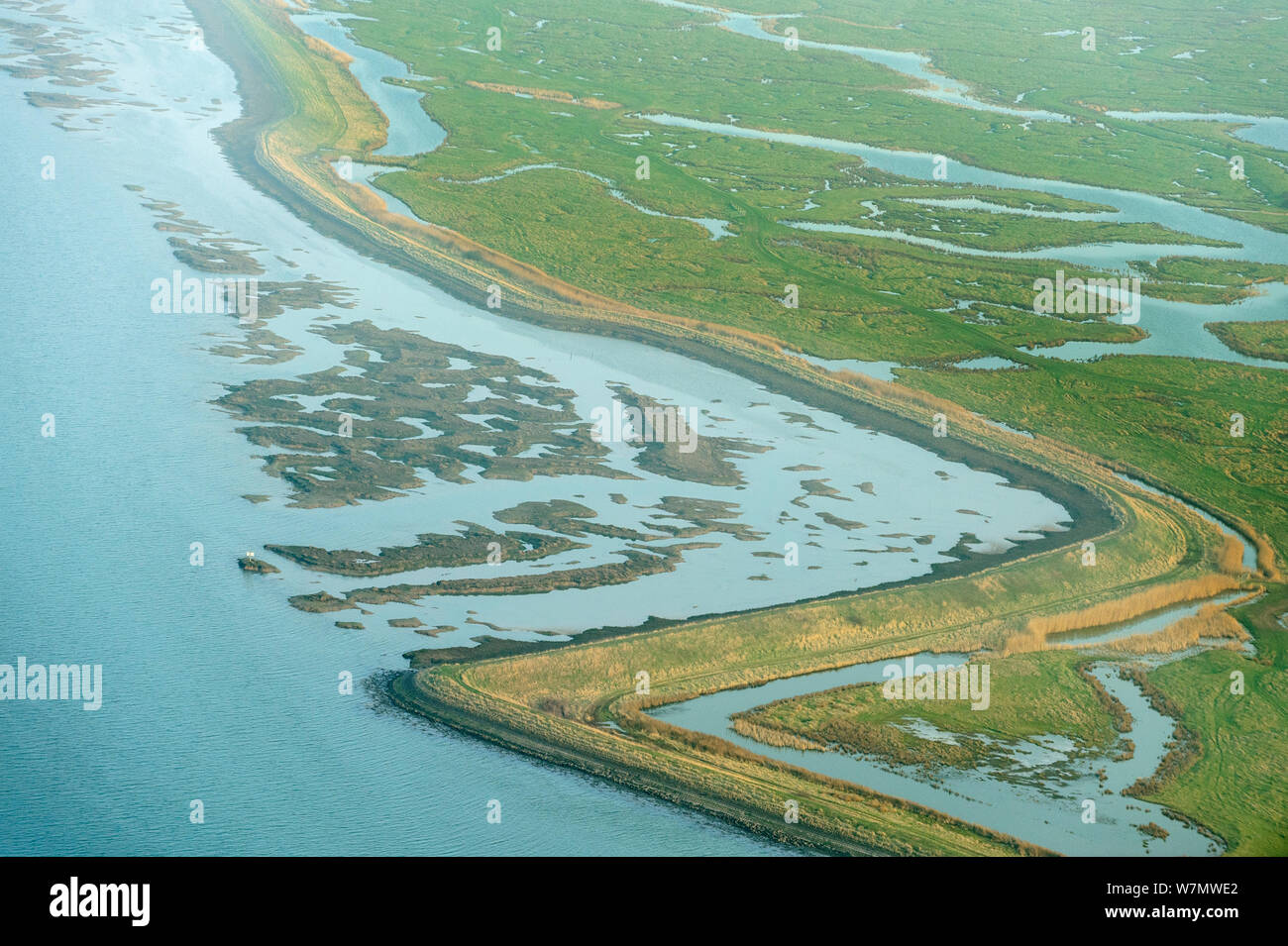 Remnant saltmarsh and grazing marsh at Old Hall Marshes. Essex, UK, March 2012. Stock Photo