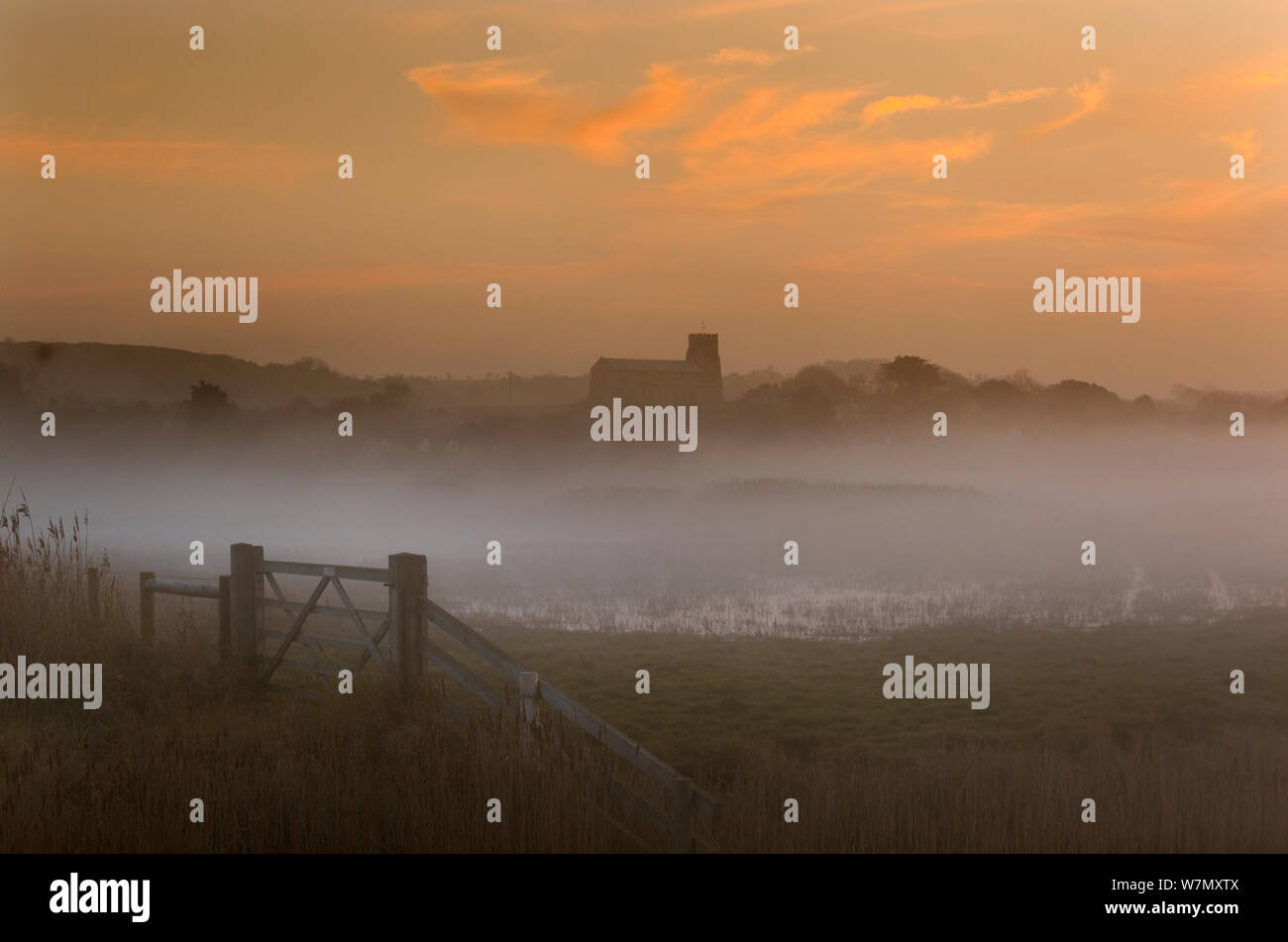 Mist over reedbeds with Church silhouetted in background, Salthouse marshes, Norfolk, UK, March 2012. Stock Photo