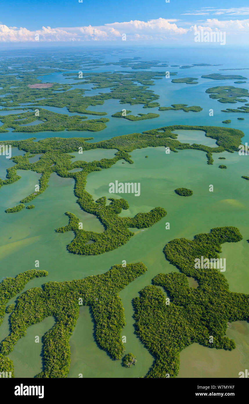 Aerial view of Everglades National Park, Florida, USA, February 2012 Stock Photo