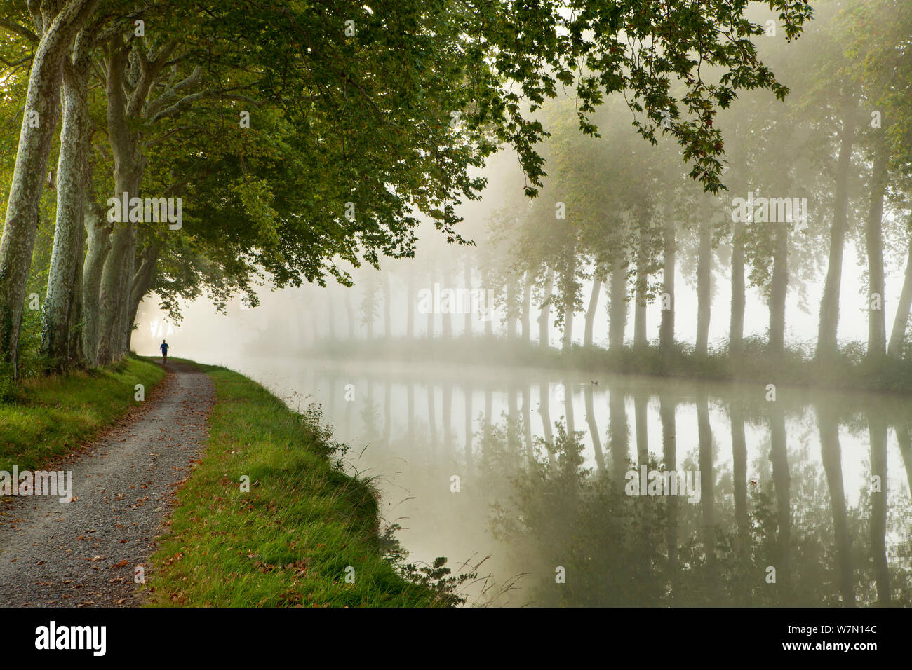 A jogger on the towpath of the Canal du Midi near Castelnaudary, Languedoc-Rousillon, France. Septeber 2011. Stock Photo