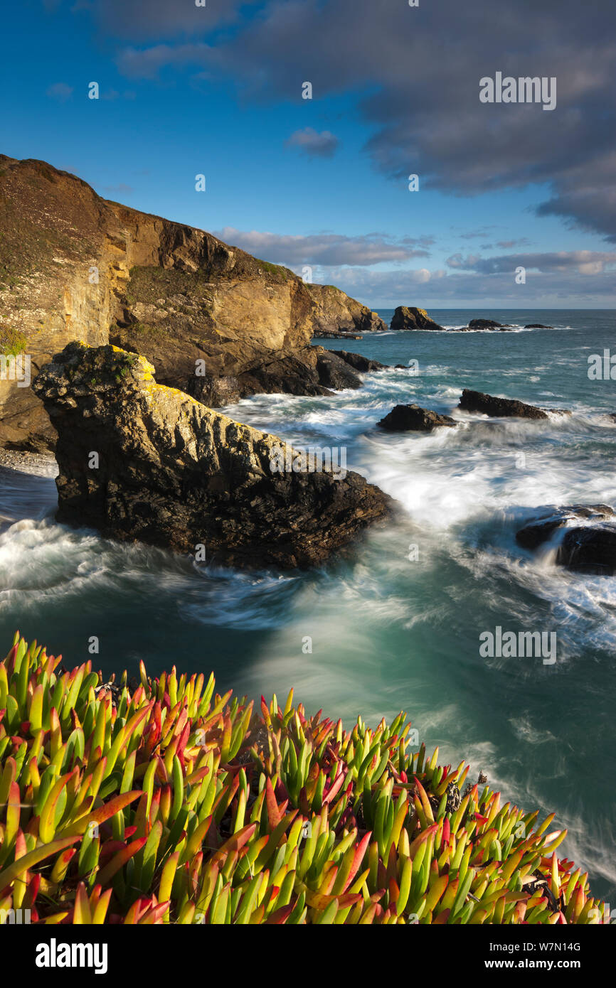 Lizard Point, the most southerly point in mainland Britain, Cornwall, England, UK. November 2011. Stock Photo