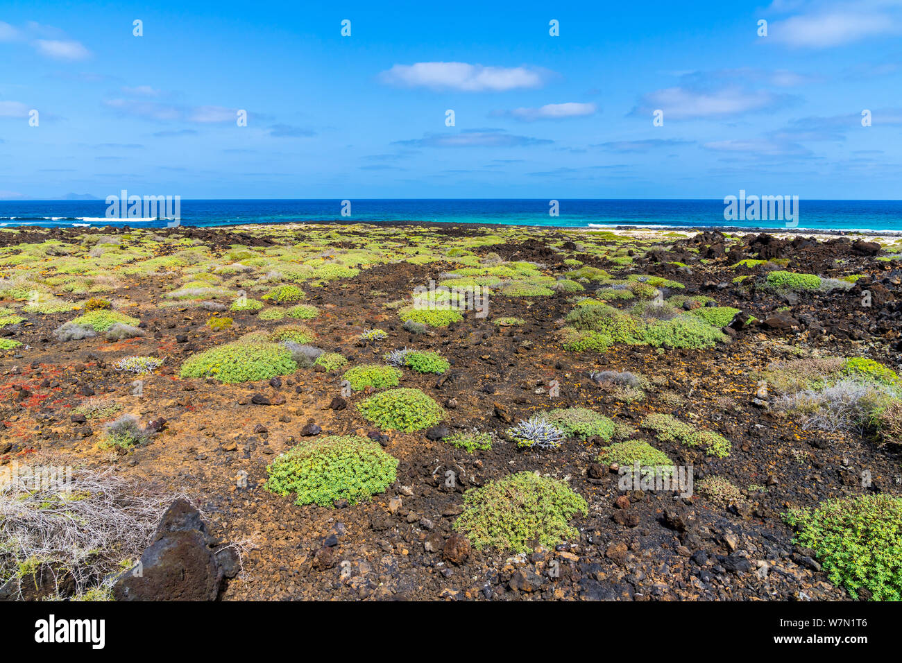 Beautiful north east coast hi res stock photography and images Alamy