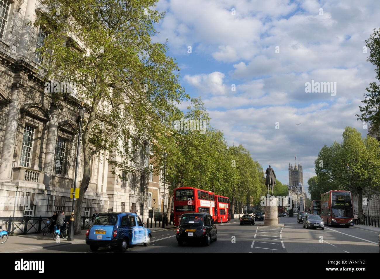 Row of London Plane Trees (Platanus x hispanica) lining Whitehall with the Victoria Tower of Westminster Palace in the background, London, UK, May. 2012 Stock Photo