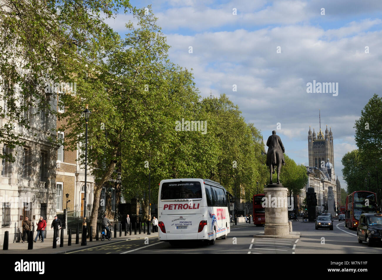 Row of London Plane Trees (Platanus x hispanica) lining Whitehall with the Victoria Tower of Westminster Palace in the background, London, UK, May. 2012 Stock Photo