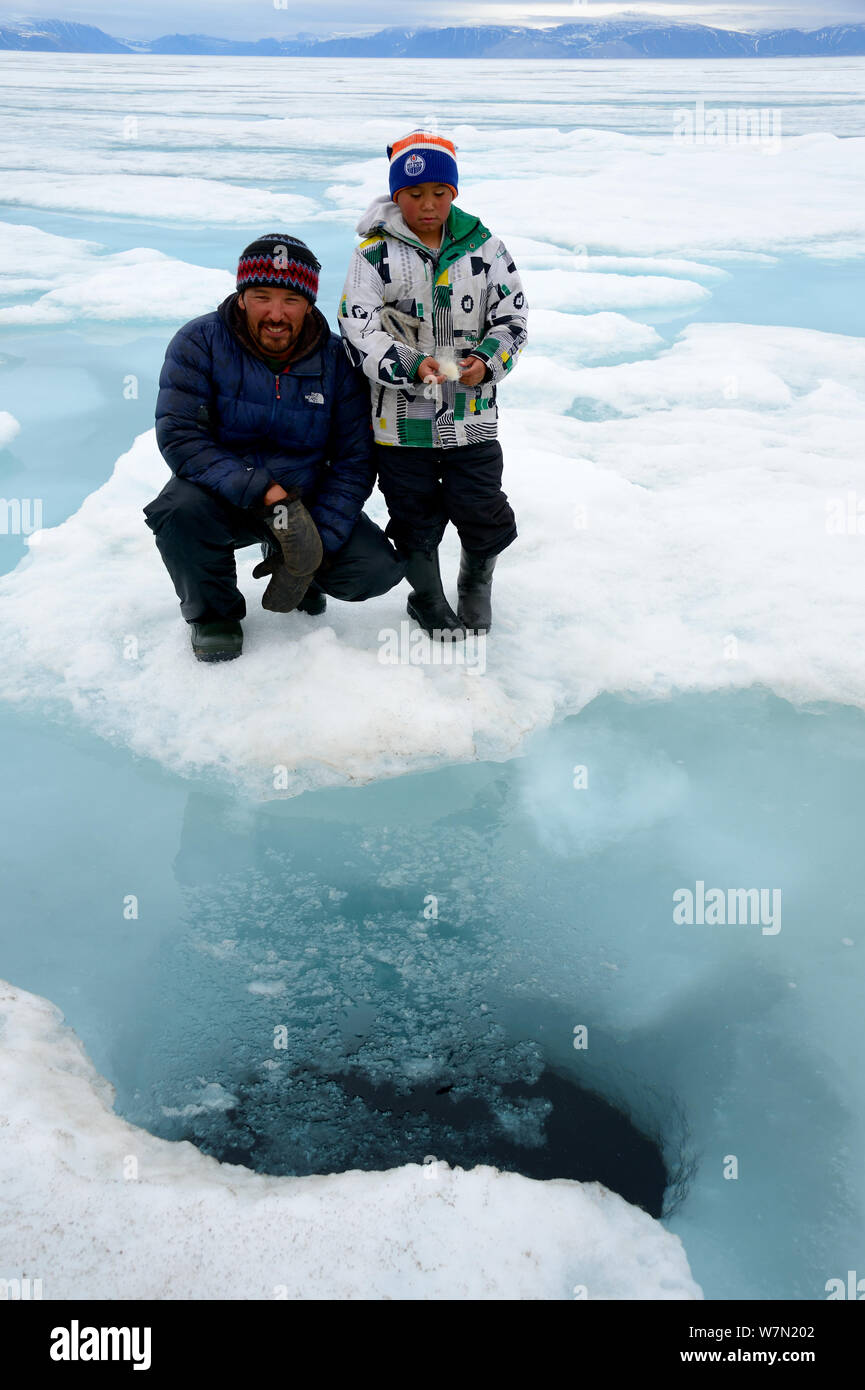 Inuit man showing his son the breathing hole of a Bearded seal (Erignathus barbatus) on the ice floe, Ellesmere Island, Nanavut, Canada, June 2012. Model released. Stock Photo