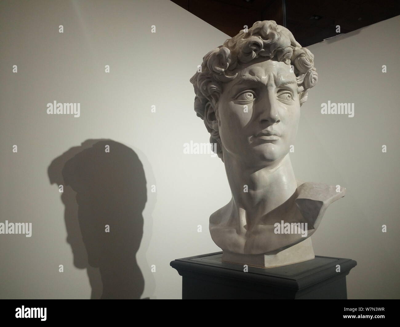 View of a replica of Michelangelo's "David" sculpture displayed during the Divine Michelangelo