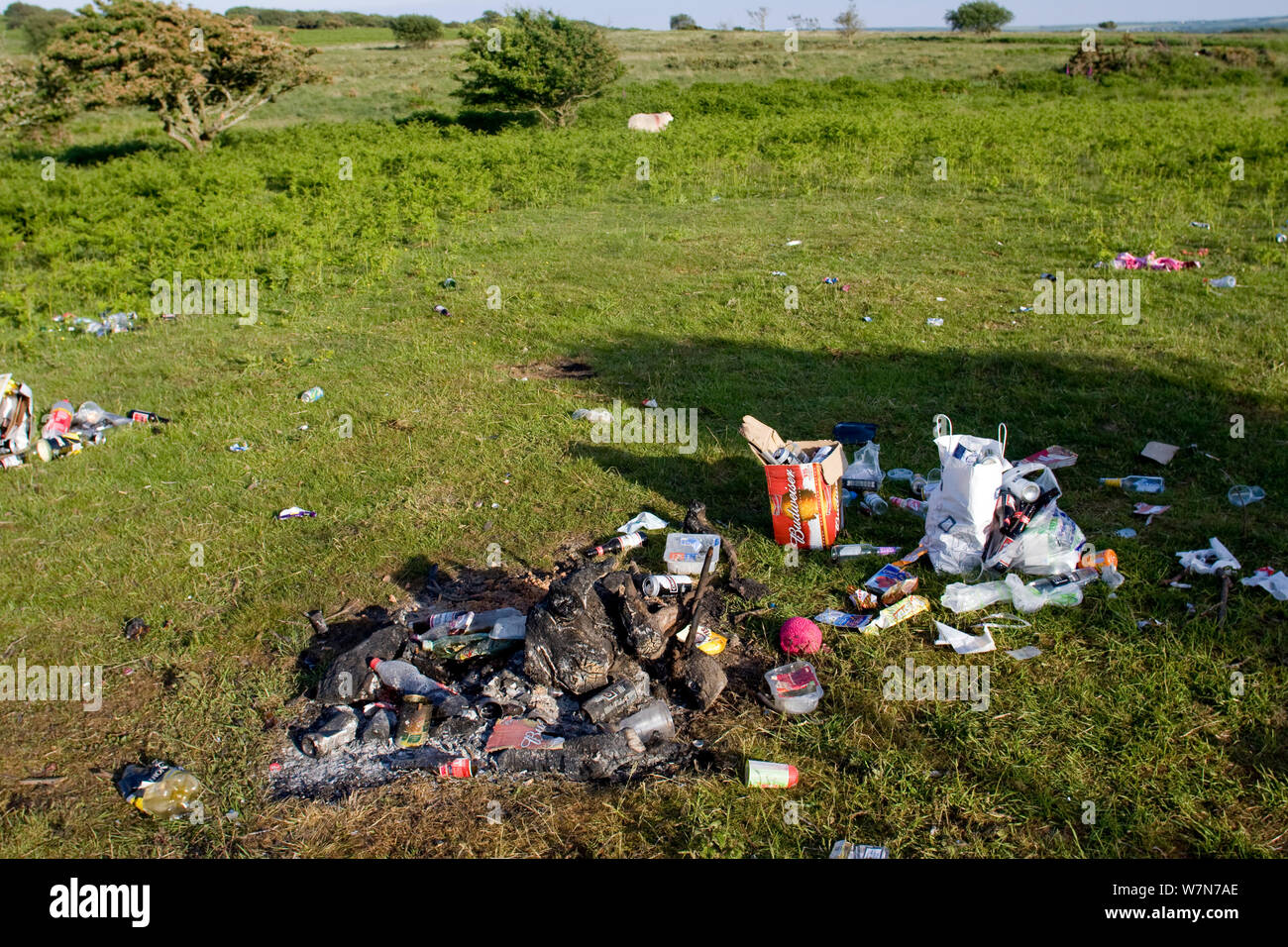 Camping rubbish strewn over common, North Gower, Wales, UK, June 2009