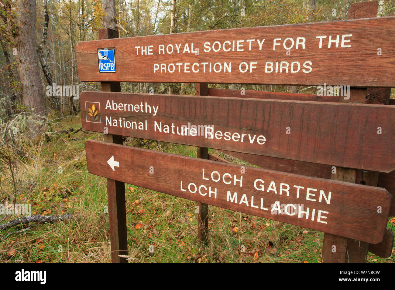 Sign to Loch Garten and Loch Mallachie at RSPB Abernethy National ...