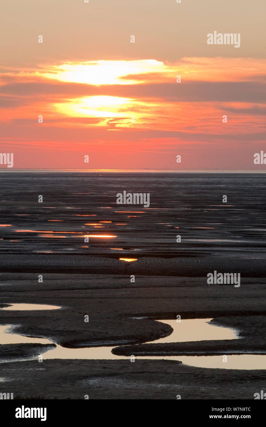 Sunset reflected from mudflats. The Wash Estuary, Norfolk, October 2011. Stock Photo