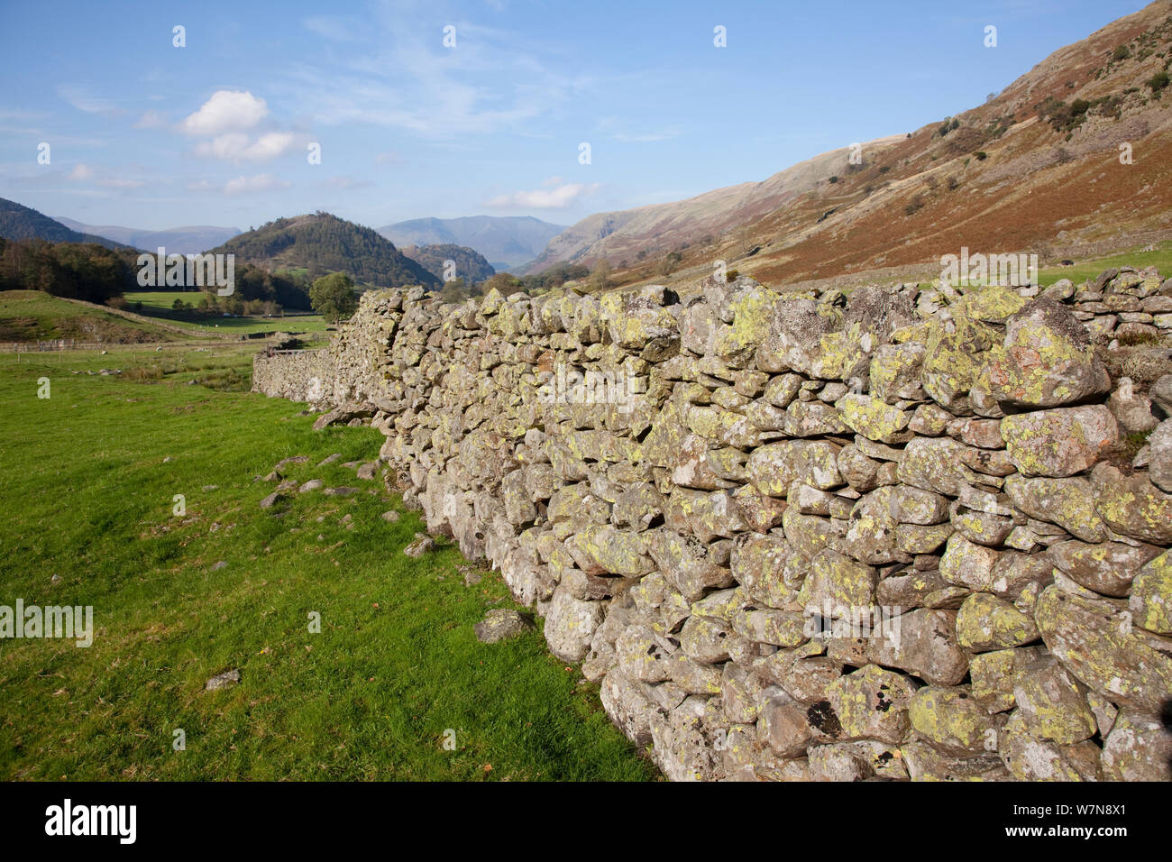 Dry stone wall and sheep fold. Helvellyn, Lake District National Park, Cumbria, September 2011. Stock Photo