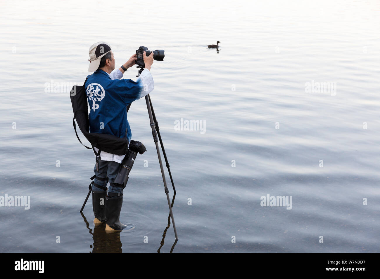A photographer prepares for the Toro Nagashi Lantern Floating Ceremony in Seattle, Washington on August 6, 2019. “From Hiroshima To Hope” is held in remembrance of atomic bomb victims on the anniversary of the bombing of Hiroshima, Japan. The ceremony, organized by a collation of peace, religious, civil liberties and cultural heritage organizations, honors victims of the bombings of Hiroshima and Nagasaki, and all victims of violence. It is an adaptation of an ancient Japanese Buddhist ritual, the Toro Nagashi, in which lanterns representing the souls of the dead are floated out to sea and pra Stock Photo