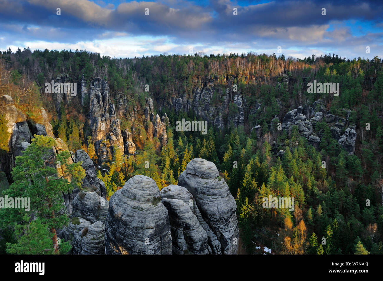 Trees and rock formations, Elbe Sandstone Mountains, Saxony, Germany, February 2011 Stock Photo