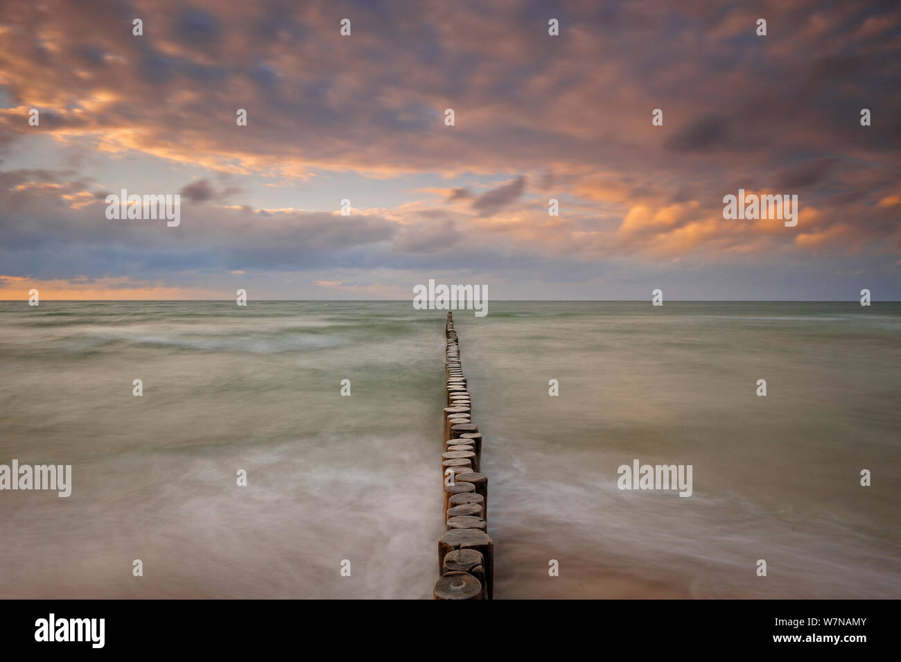 Line of wooden posts running into the Baltic Sea at dusk,  National ParkVorpommersche Boddenlandschaft, Germany, May Stock Photo