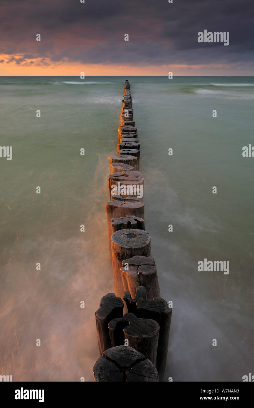 Line of Wooden posts running into the Baltic Sea, at dusk, National ParkVorpommersche Boddenlandschaft, Germany, May Stock Photo