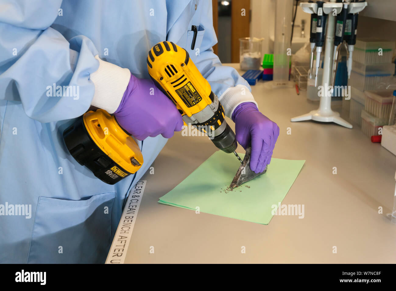 Population Genetics High Resolution Stock Photography And Images Alamy