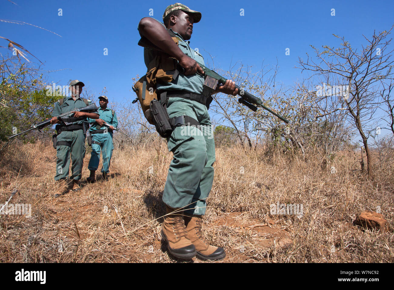 Anti-poaching unit on patrol in the bush, led by Sibongiseni Kunene, Ezemvelo KZN Wildlife, iMfolozi game reserve, KwaZulu-Natal, South Africa, June 2012