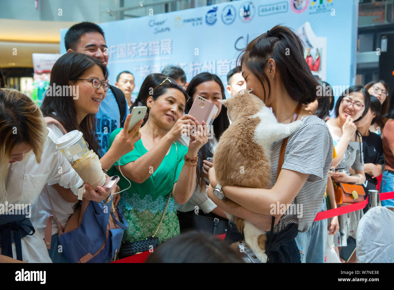Visitors take photos of a pedigree cat at the 2017 World Cat Federation