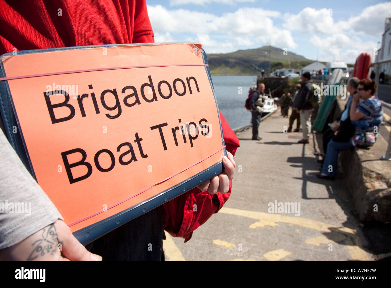 Tourist signs promoting boat trips based around the presence of White tailed sea eagles, Portree, Skye, Inner Hebrides, Scotland, UK, June 2011. 2020VISION Book Plate. Stock Photo