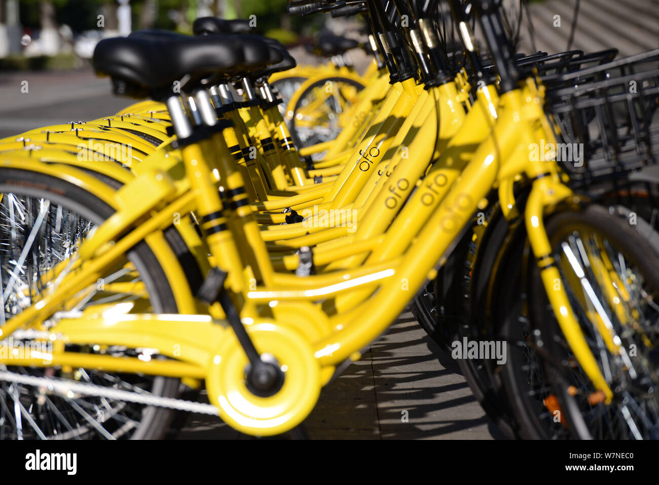 ofo bike contact