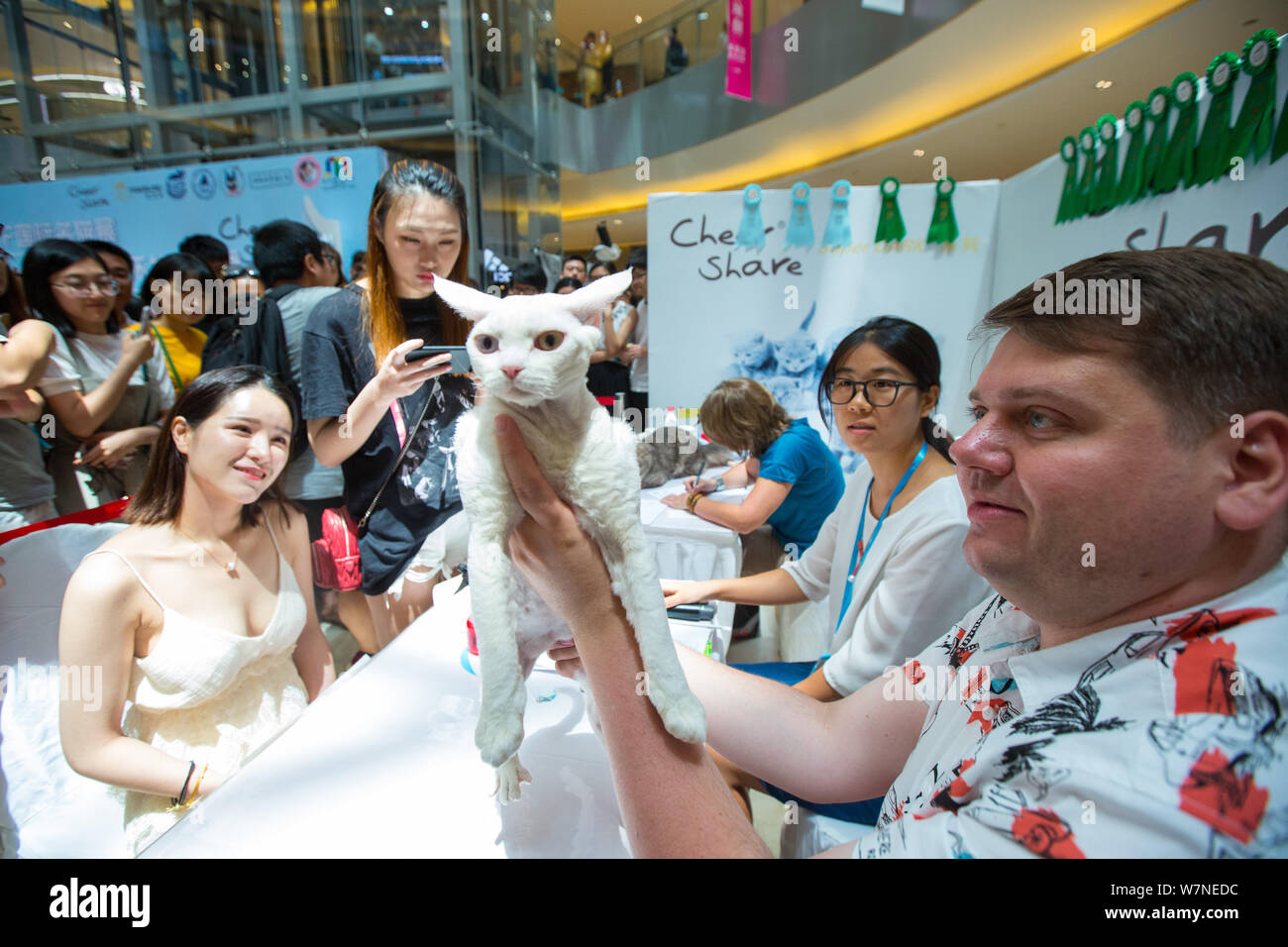 Wcf cat hires stock photography and images Alamy