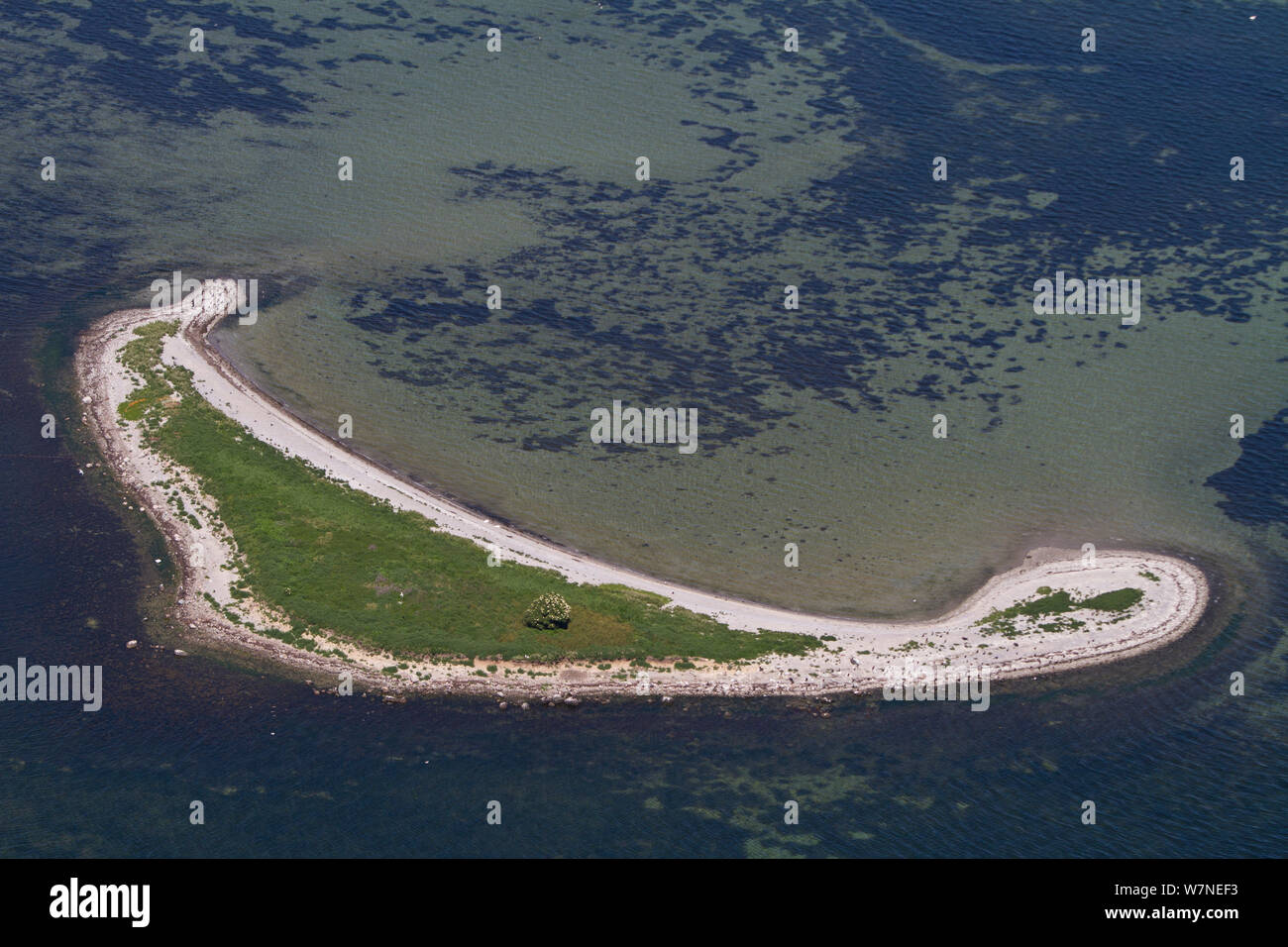 Aerial view of Flaeskholm, islet in the Baltic Sea, Denmark, July 2012 Stock Photo