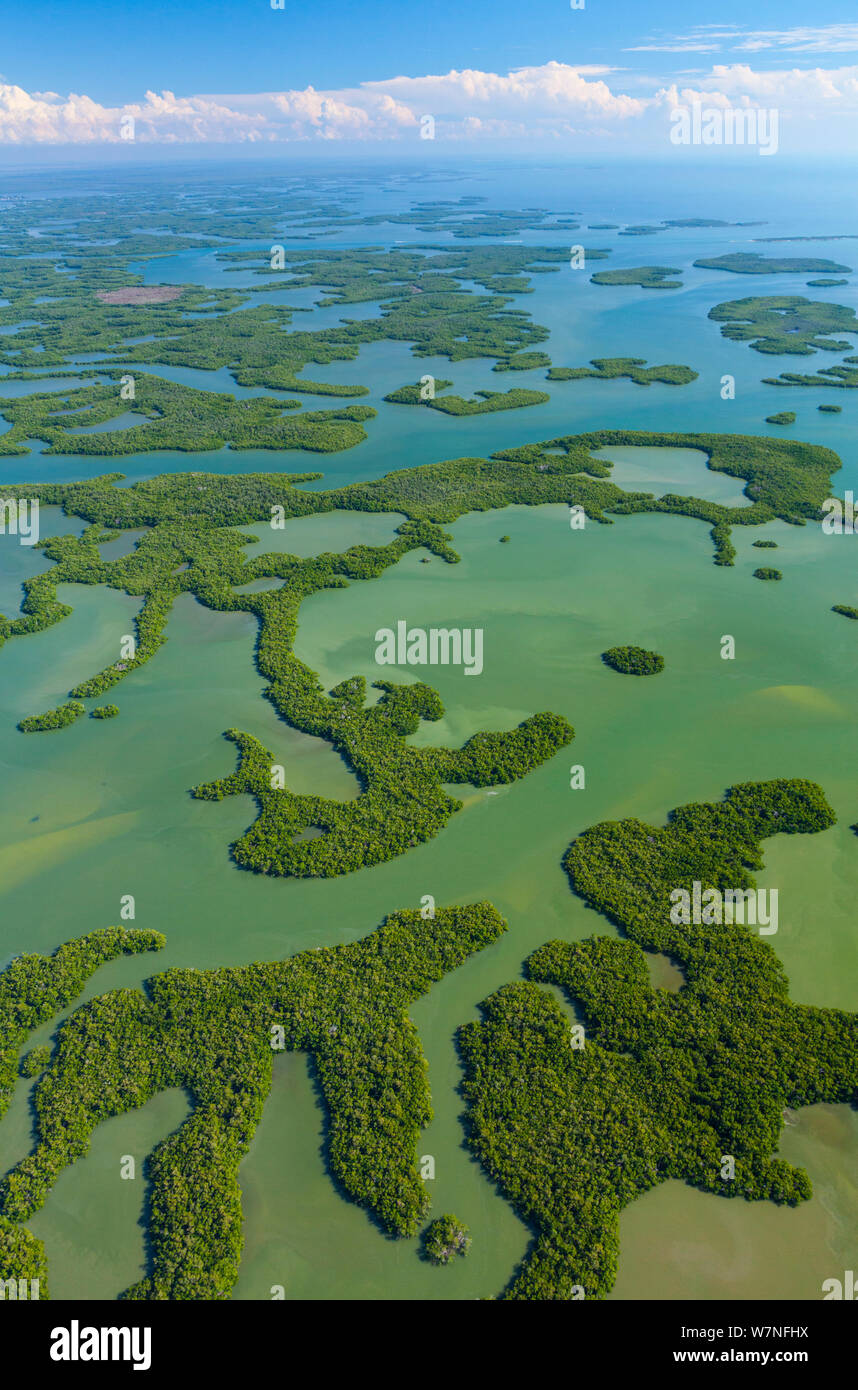 The Everglades Florida Aerial Hi res Stock Photography And Images Alamy the-everglades-florida-aerial-hi-res-stock-photography-and-images-alamy