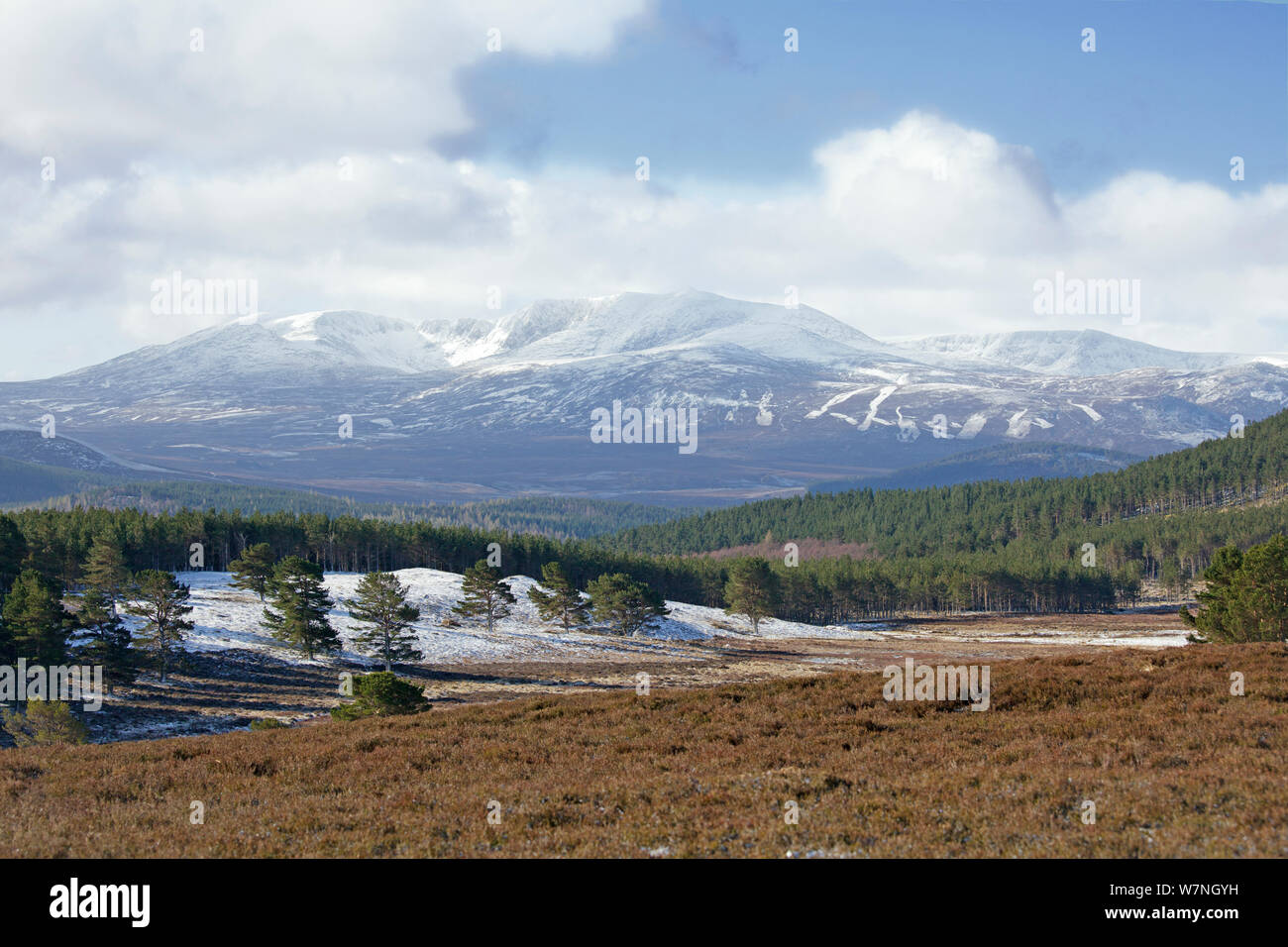 Lochnagar in spring, with snow on the tops. Deeside, Scotland, April 2012. Stock Photo